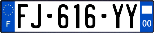 FJ-616-YY