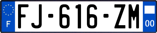 FJ-616-ZM