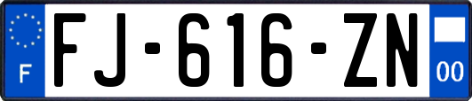 FJ-616-ZN