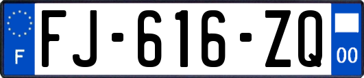 FJ-616-ZQ