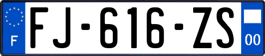 FJ-616-ZS