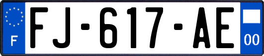 FJ-617-AE