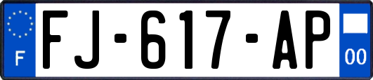 FJ-617-AP