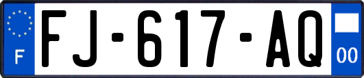 FJ-617-AQ