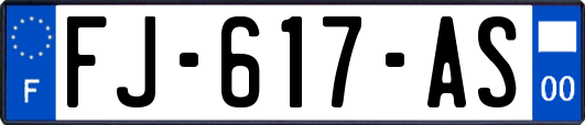 FJ-617-AS