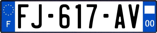 FJ-617-AV