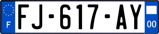 FJ-617-AY