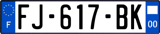 FJ-617-BK