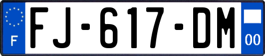 FJ-617-DM