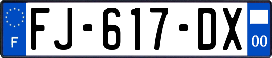 FJ-617-DX