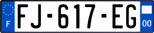 FJ-617-EG