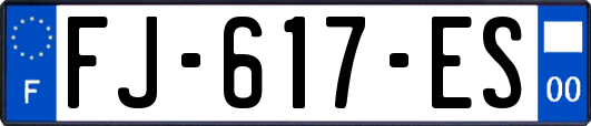 FJ-617-ES