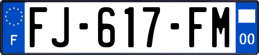 FJ-617-FM