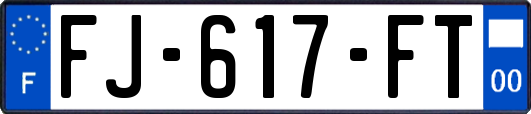 FJ-617-FT