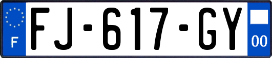 FJ-617-GY