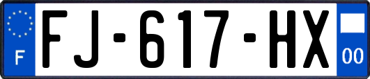 FJ-617-HX