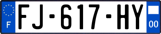 FJ-617-HY