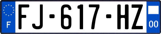 FJ-617-HZ