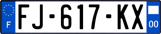 FJ-617-KX