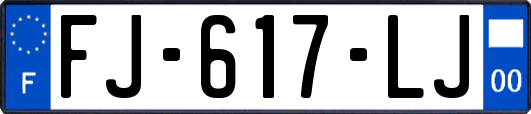FJ-617-LJ