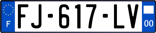 FJ-617-LV