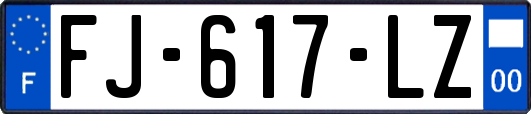 FJ-617-LZ