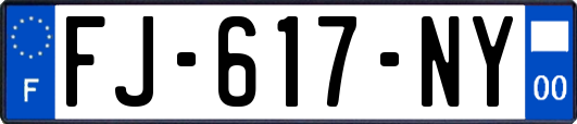 FJ-617-NY