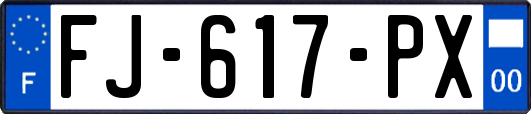 FJ-617-PX