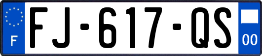 FJ-617-QS