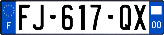 FJ-617-QX