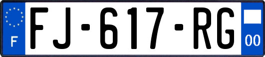 FJ-617-RG