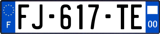 FJ-617-TE