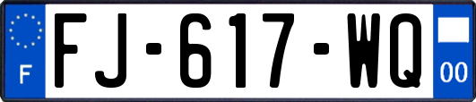 FJ-617-WQ