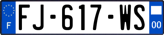 FJ-617-WS