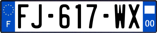 FJ-617-WX