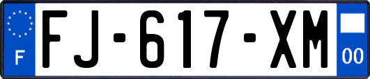 FJ-617-XM