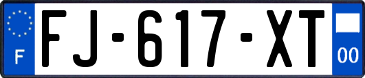 FJ-617-XT