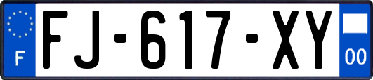 FJ-617-XY