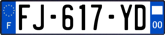 FJ-617-YD