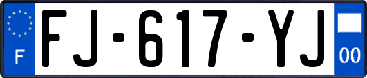 FJ-617-YJ