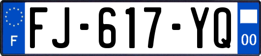 FJ-617-YQ