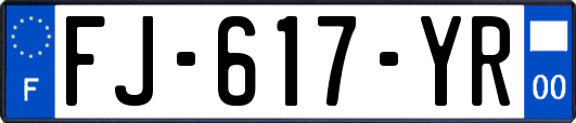 FJ-617-YR