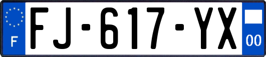 FJ-617-YX