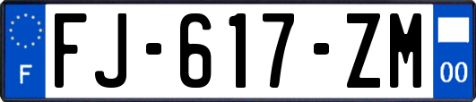 FJ-617-ZM