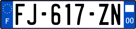 FJ-617-ZN