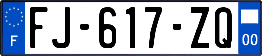 FJ-617-ZQ