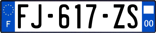 FJ-617-ZS