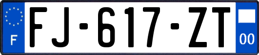 FJ-617-ZT