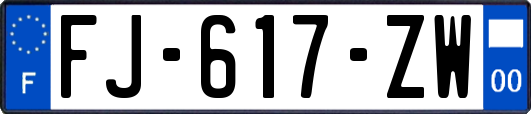 FJ-617-ZW