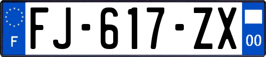 FJ-617-ZX